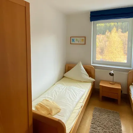 Fewo40 * Willingen (Upland)