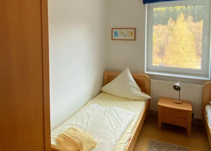 Fewo40 * Willingen (Upland)